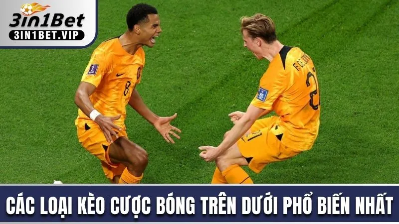 Các loại kèo cược bóng trên dưới phổ biến nhất