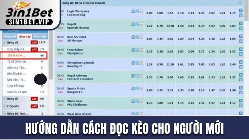 Cách Đánh Kèo Kép Luôn Thắng, Hội Viên Không Nên Bỏ Qua 3 Hướng dẫn cách đọc kèo cho người mới