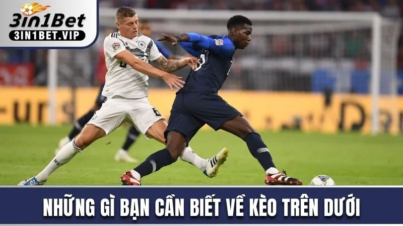 Những gì bạn cần biết về kèo trên dưới